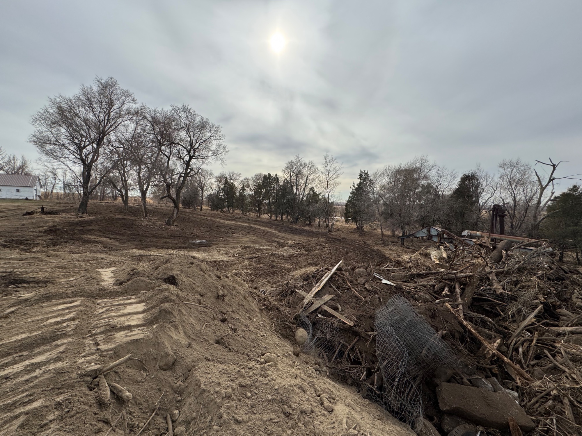 Tree row removal and land clearing by Dakota Earthworks for NRCS cost share programs in North Dakota